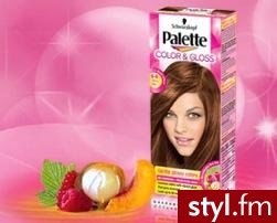 Palette 6-6 - Misz-masz