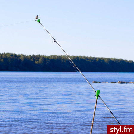Metoda Feeder jest odmianą łowienia feederem i używa się tutaj podobnych kołowrotków. 
https://wielkaryba.pl/blog/porady-wedkarskie/na-czym-polega-i-jak-lowic-ryby-metoda-feeder - Hobby