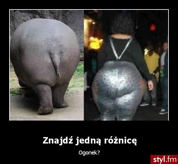 Humor