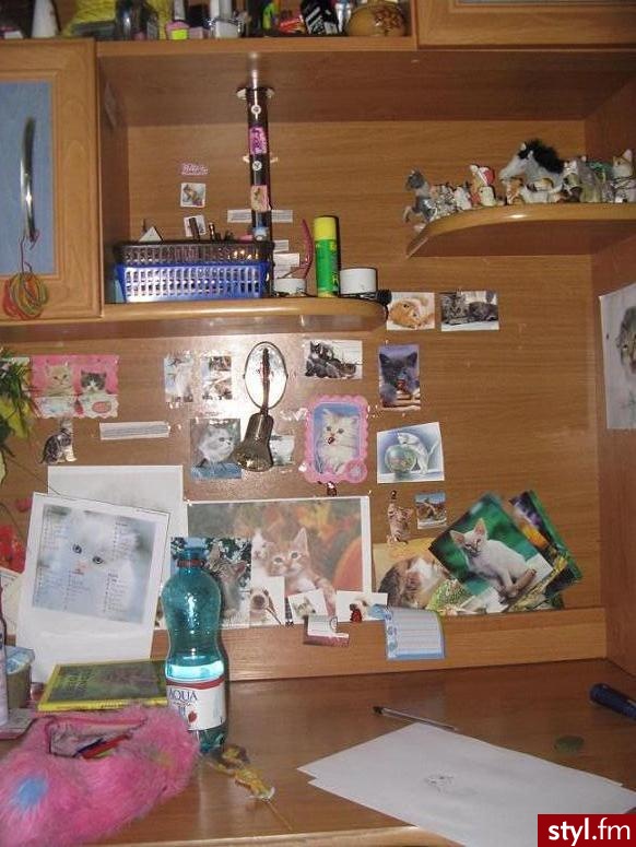 Moje biurko. Moje biurko xD
Ta fota jest baaaaaardzo stara , bo już dawno poodklejałam te kotki i naklejki. - Moje biurko Wnętrza