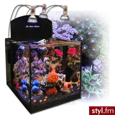 Aqua Medic Yasha - Nano akwarium morskie 36 litrów - Maße: L 30 x B 40 x H 30 cm - Bransoletki Biżuteria Moda