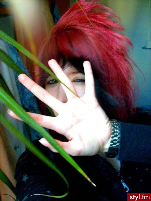 Punk Rock Alternatywne Średnie Fryzury