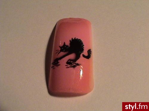 Autor: pulnikula kot. Autor: <b>pulnikula</b><br /> - Paznokcie