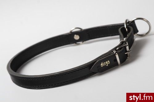Dingo Obroża Skórzana Zaciskowa 70 cm Czerwona - Psy Zwierzaki