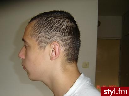 Punk Rock Alternatywne Średnie Fryzury