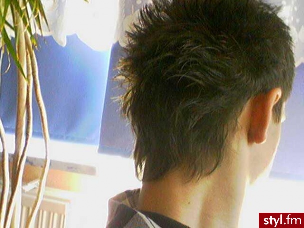 Punk Rock Alternatywne Średnie Fryzury