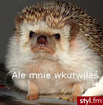 oddam w dobre rece ;p - Misz-masz