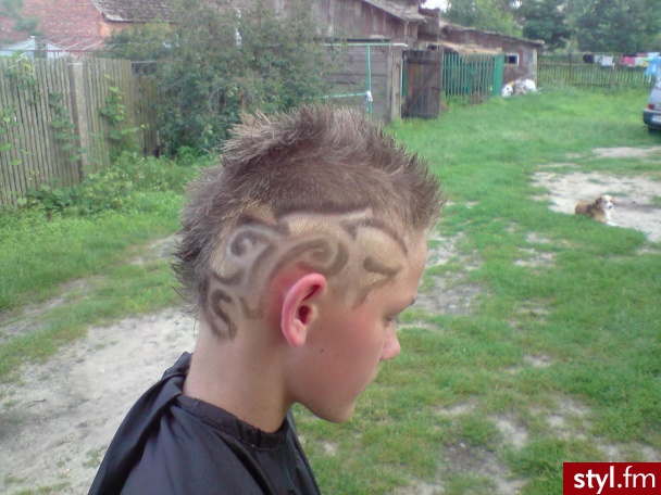 Punk Rock Alternatywne Średnie Fryzury