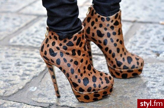 Botki Buty Moda
