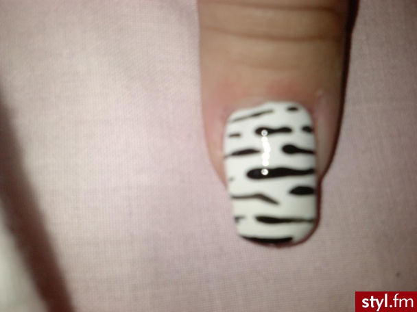 Zebra - Paznokcie