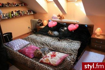 Mój pokój Wnętrza