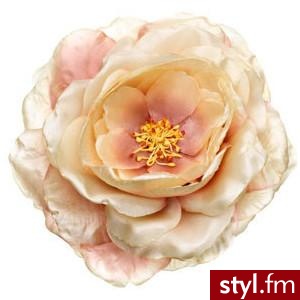 Upload - Nakrycia głowy Dodatki Moda
