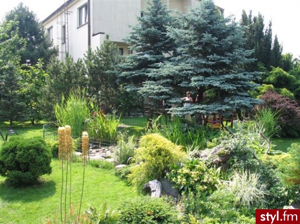 Ogród
