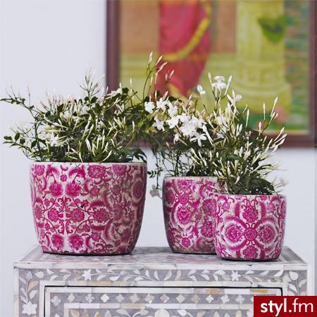 Doniczki zestaw 3 w cenie 35 GBP - Misz-masz