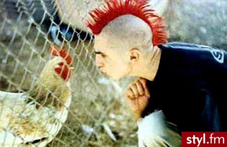 Punk Rock Alternatywne Średnie Fryzury