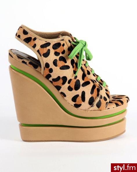Koturny Buty Moda
