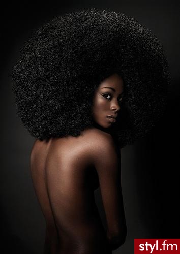 afro - Kręcone Na co dzień Średnie Fryzury