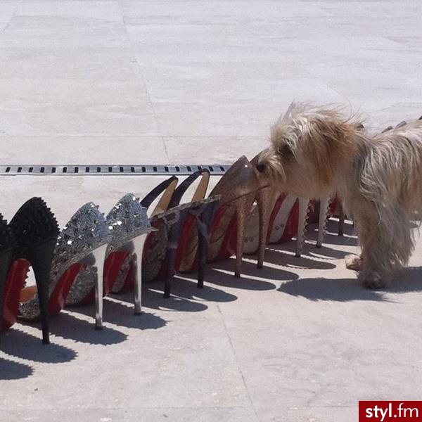 Szpilki Buty Moda