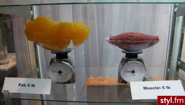 Sport i fitness