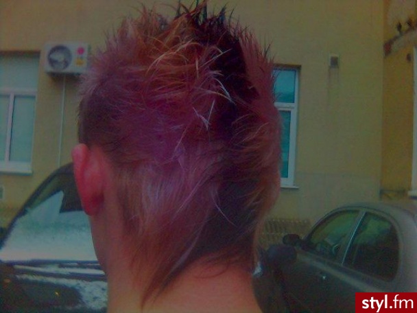wykonawca FRYZJER HUBERT>>>>>> - Punk Rock Alternatywne Średnie Fryzury