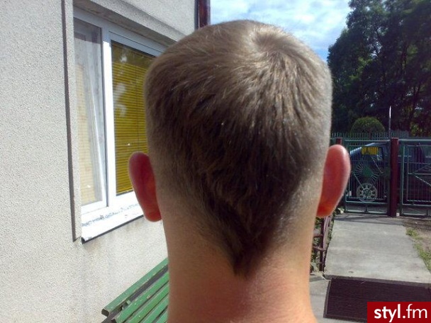 Punk Rock Alternatywne Średnie Fryzury