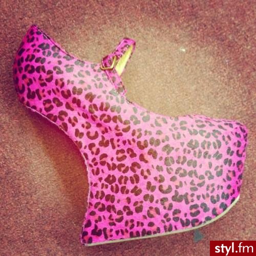 Koturny Buty Moda