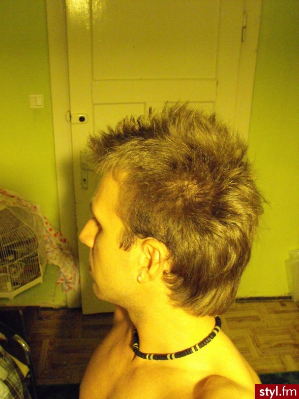 Irokez,Blond,Średnie - Punk Rock Alternatywne Średnie Fryzury