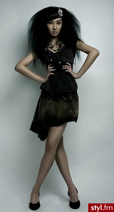 Styler