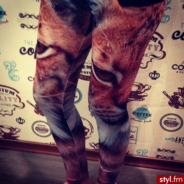 Pozostałe Spodnie Moda
