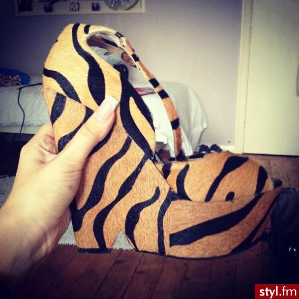 Koturny Buty Moda