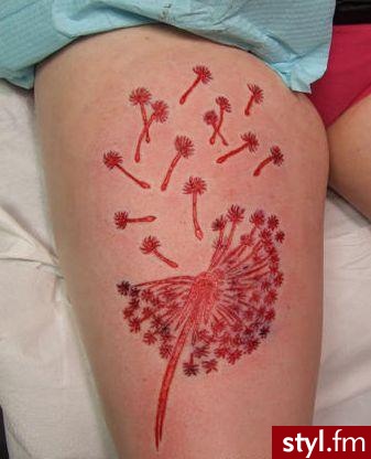Scarification - Modyfikacje ciała