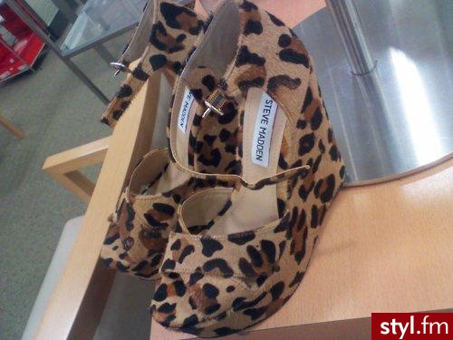Koturny Buty Moda