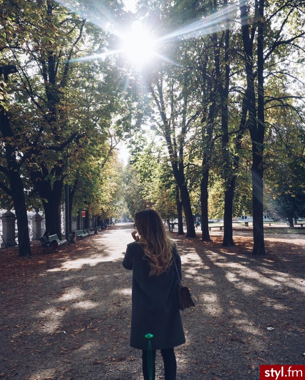 Misz-masz