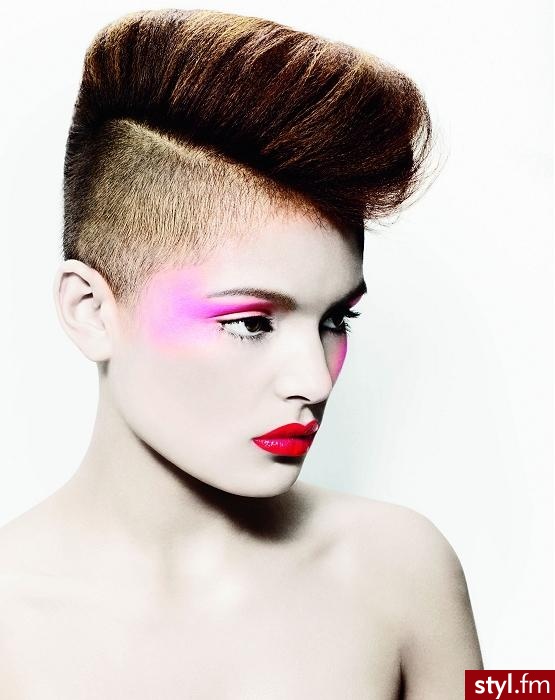 Punk Rock Alternatywne Średnie Fryzury