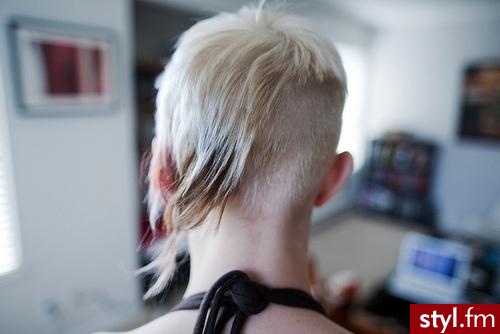 Punk Rock Alternatywne Średnie Fryzury