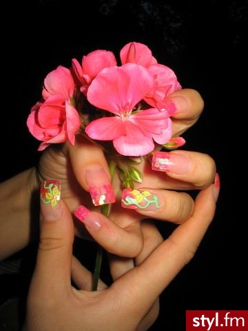 Autor: Minia Hologramy z  kwiatuszkiem. Autor: <b>Minia</b><br /> - Paznokcie
