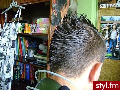 Punk Rock Alternatywne Średnie Fryzury
