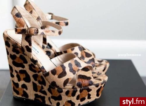 Koturny Buty Moda