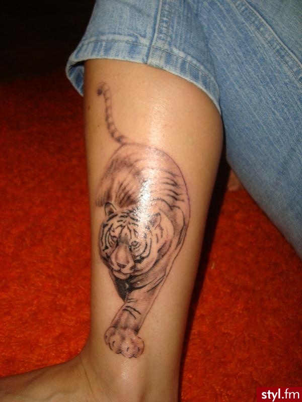 tiger - Tatuaże
