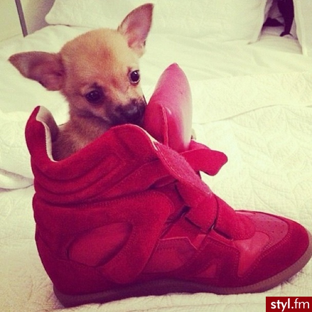 Sportowe Buty Moda