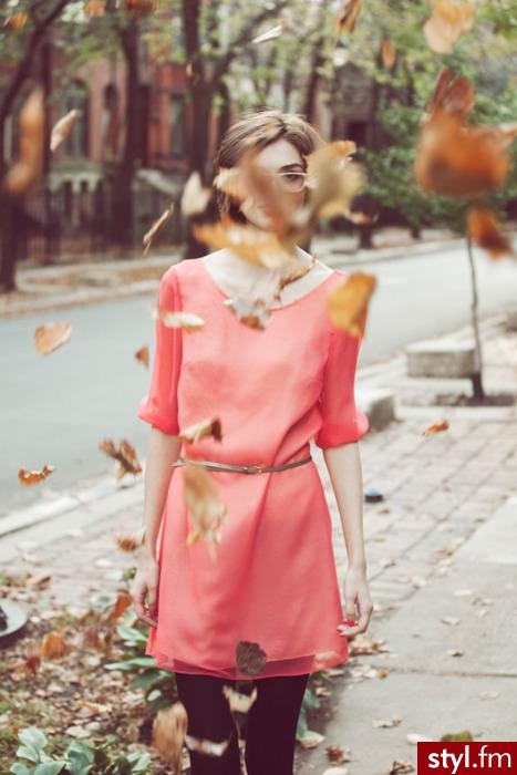 Sukienki Moda