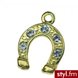 H-S-CHARM 50 srebro 925 pozłacane - Wisiorki Biżuteria Moda