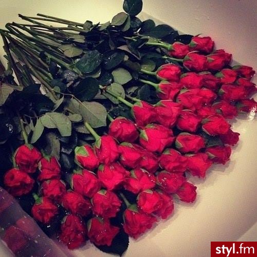 Ogród