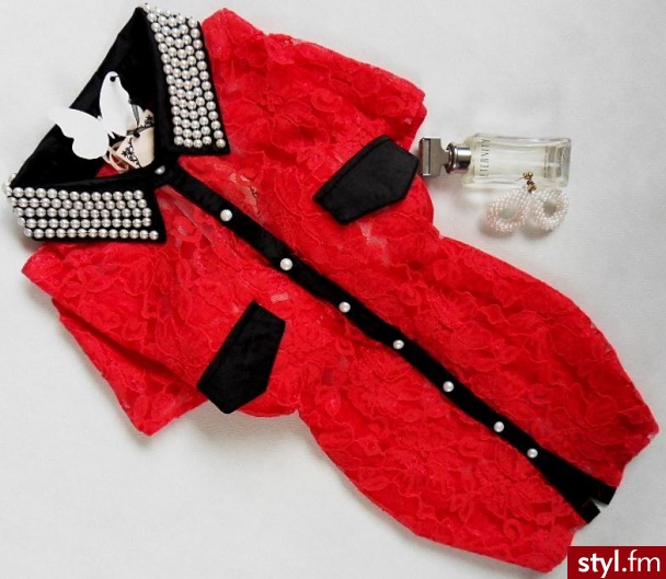 Bluzki Ciuchy Moda