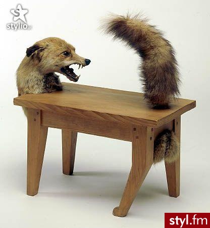 Wilkostół - Misz-masz