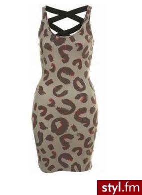 panterka. TopShop 170 zł - Pozostałe Ciuchy Moda