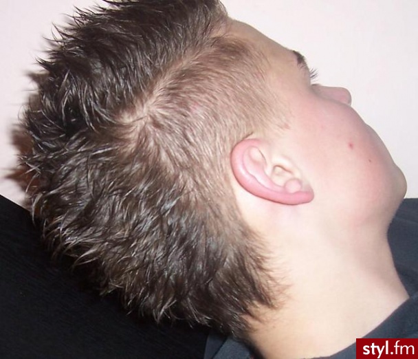 Punk Rock Alternatywne Średnie Fryzury
