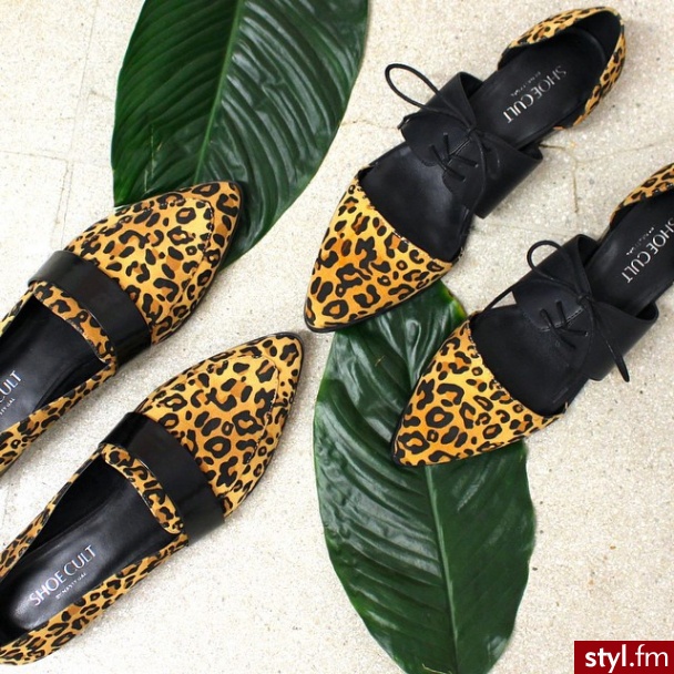 Półbuty Buty Moda