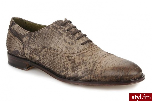 Fred De La Bretoniere BUTY SZNUROWANE PERT SNAKE BY FRED DE LA BRETONIERE (Brązowy) - Pozostałe Buty Moda