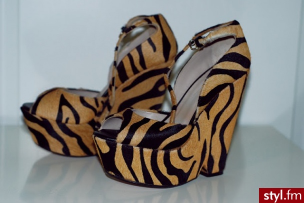 Koturny Buty Moda